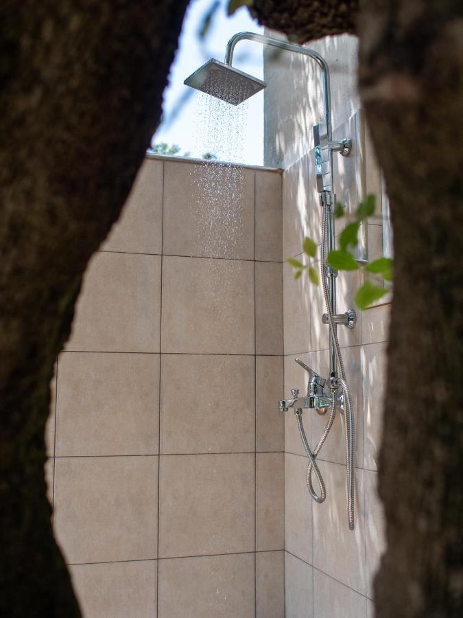 Holiday Home Baricevic ポセダリェ エクステリア 写真